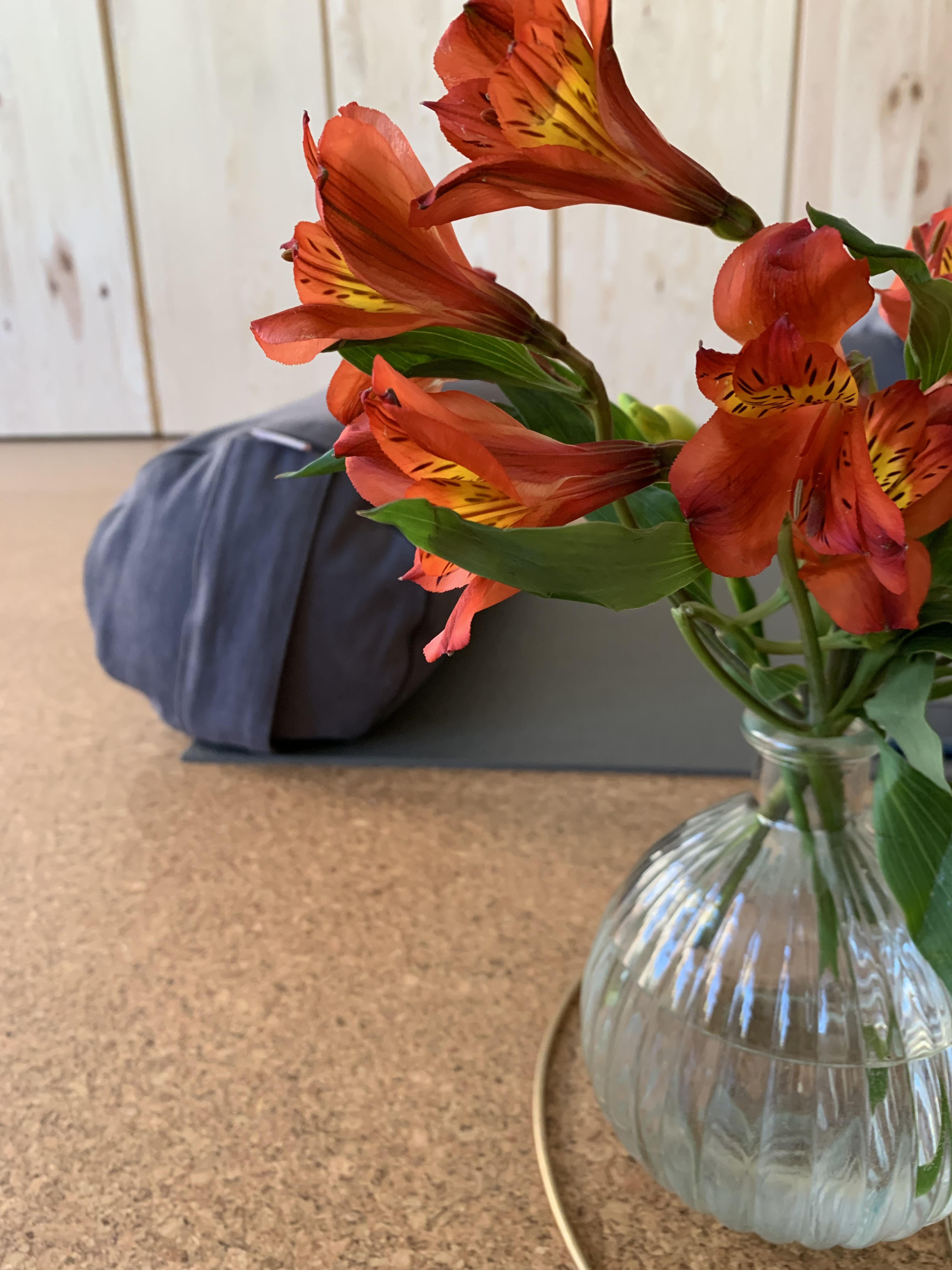 Yoga course - Mitglied im Yoga-Verband: BdfY (Berufsverband der freien Yogalehrer und Yogatherapeuten e.V.) - Germany - Der Frühling ist da - du findest uns in der Barfüßerstraße 14 im Zentrum von Halle (Saale) - Yoga Atelier Halle