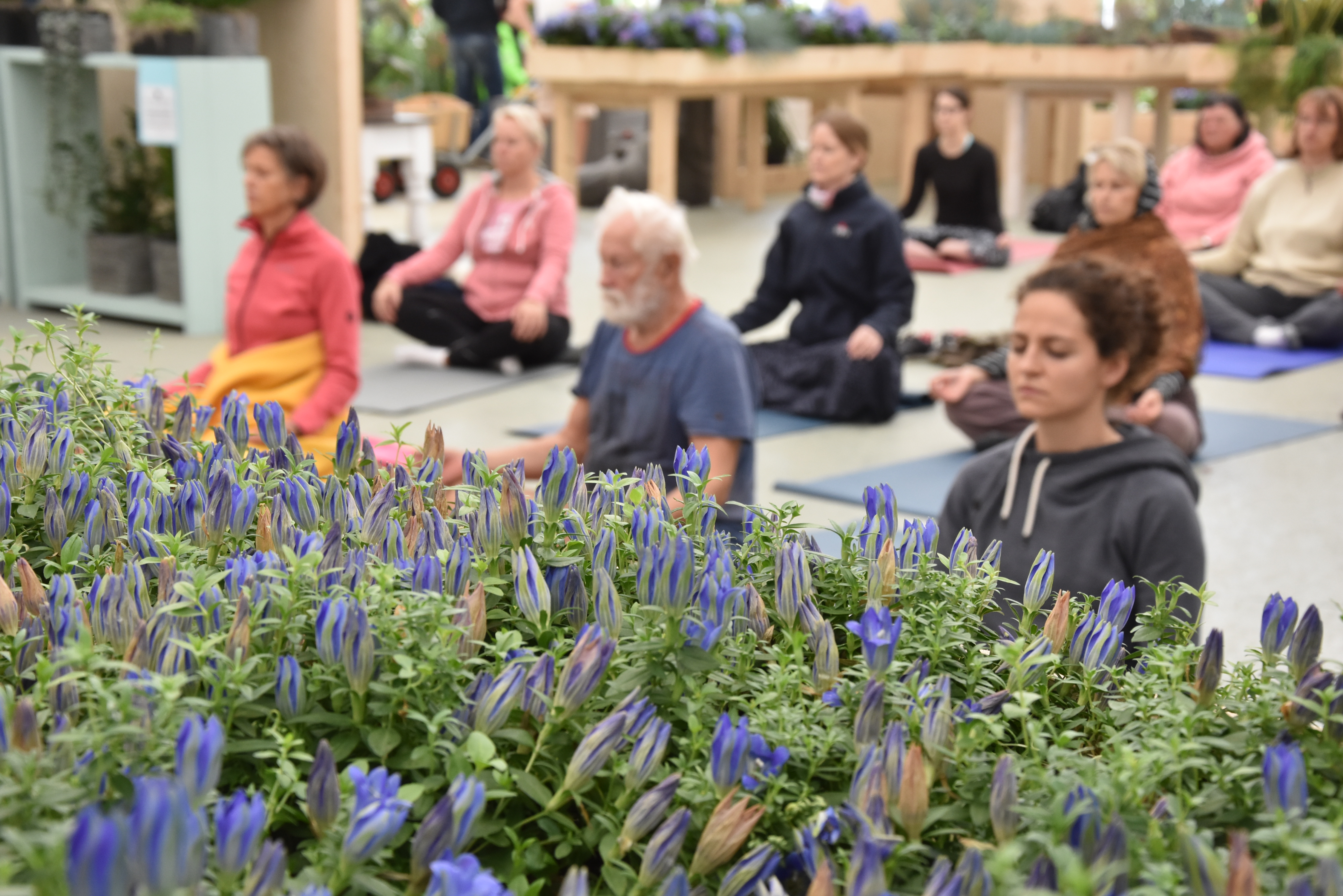 Yoga class - Bad Iburg - Yogatage auf der LAGA 2018 - Katharina Vincke.   YOGA GARTEN