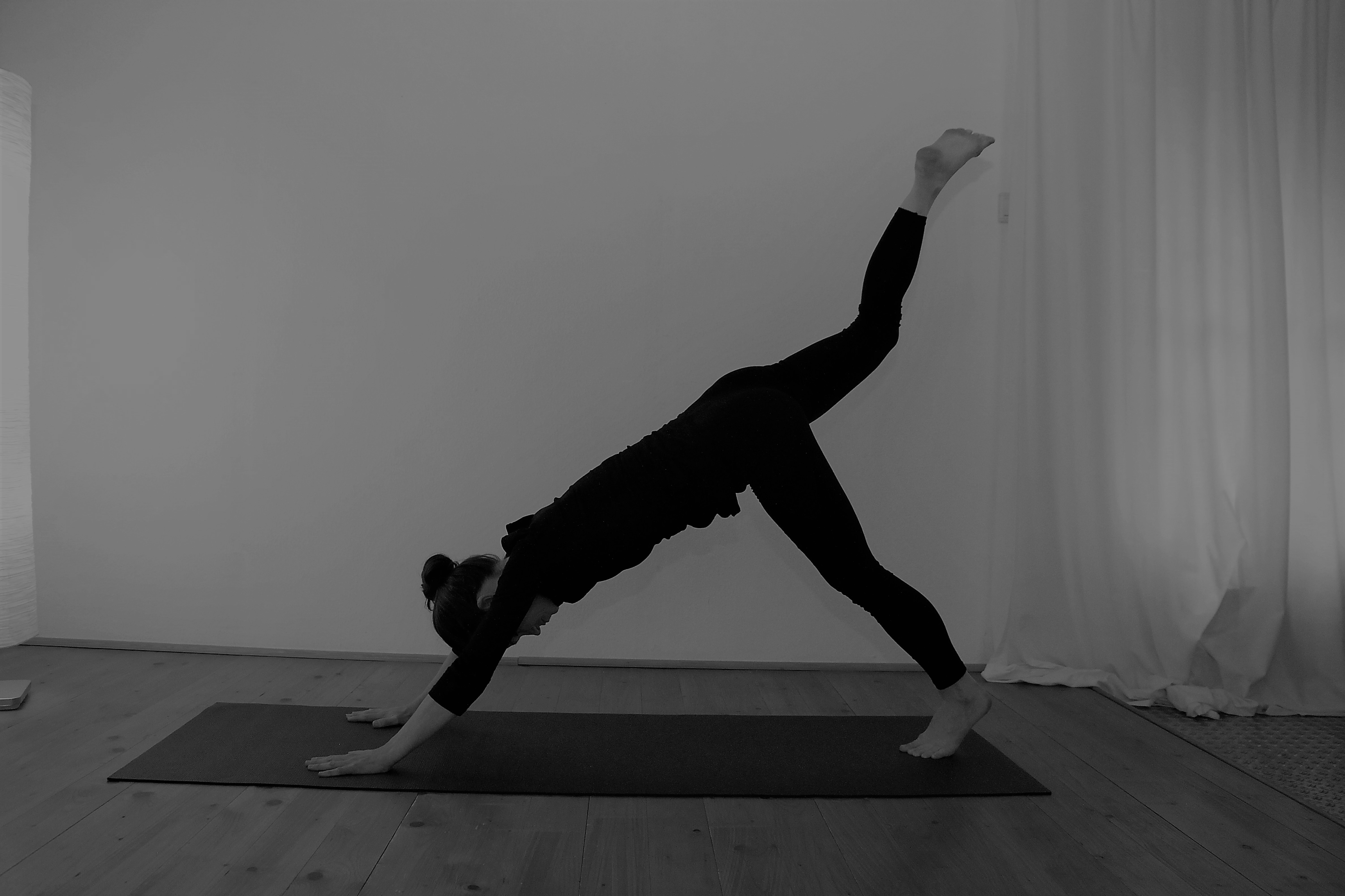 Yoga: Hatha Yoga Adho Muka Svanasa - vom Hund bis Anjaneyasana - Yoga Nidra