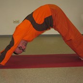 Yogakurs - Bodhi - Yoga, Ayurveda, Qigong