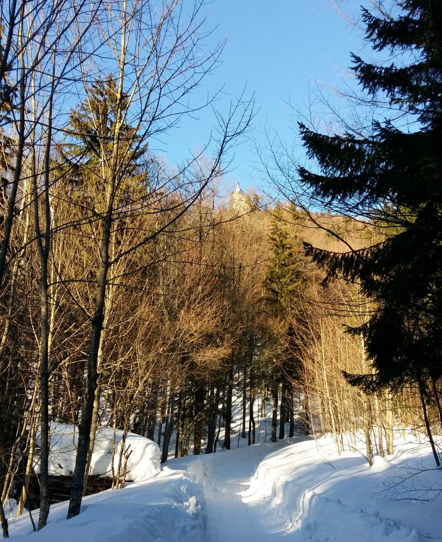 Yoga: YOGA UND WANDERN  - Yogagarten / Yogaschule Penzberg Bernhard und Christine Götzl