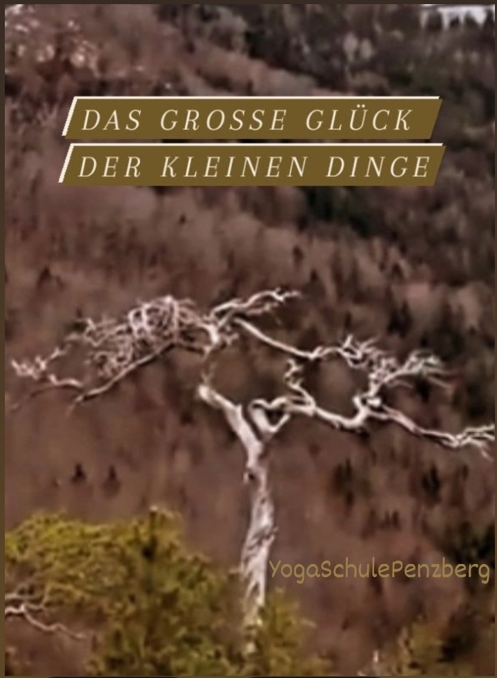 Yoga: Yogagarten / Yogaschule Penzberg Bernhard und Christine Götzl