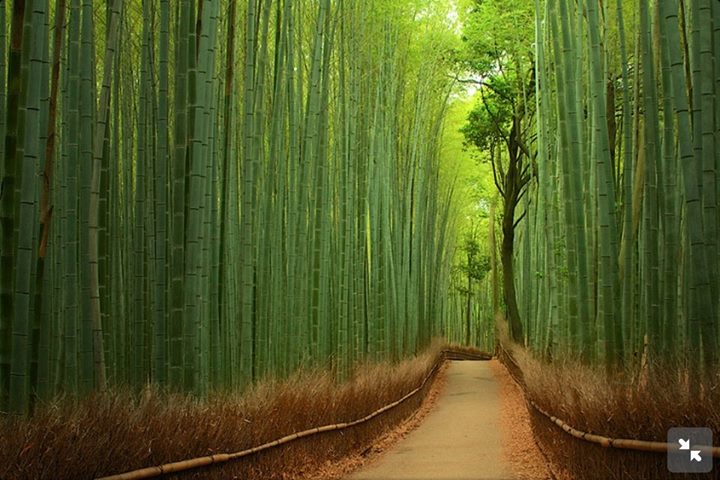 Yoga course - Frankfurt am Main - https://scontent.xx.fbcdn.net/hphotos-xtp1/v/t1.0-0/q82/p480x480/10464176_341363039346550_791006218014509528_n.jpg?oh=0d0ad571adbf236caf718097a9067b88&oe=575DF9C8 - main yoga coach