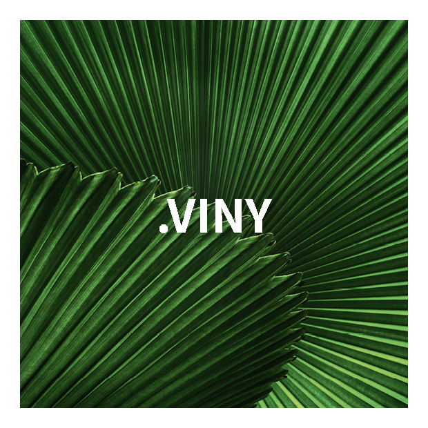 Yoga: Stefanie Rolle