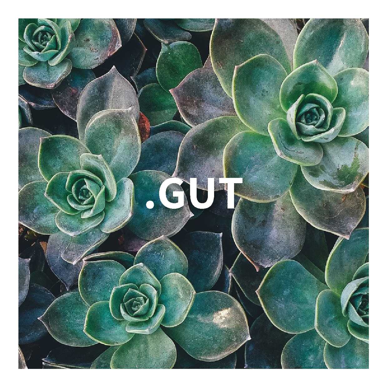 Yoga: Du kannst Gutscheine für Yoga, Massagen und Ganzheitliche Körperarbeit bei mir erwerben. 
Bitte ruf mich an unter 0174-8851667 oder schreib mir unter stefanie_rolle@gmx.de. - Stefanie Rolle