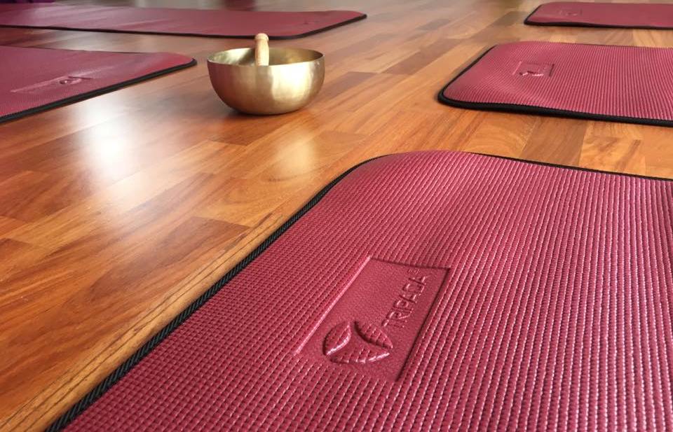 Yoga course - Krankenkassen anerkannt - North Rhine-Westphalia - Tripada® Yogamatten - Ausstattung für eigene Tripada Yoga® Räume - Tripada® Yogalehrerausbildung mit Kassenzulassung nach § 20 SGB V über 2 Jahre