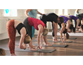 Yoga: elementry HotYoga