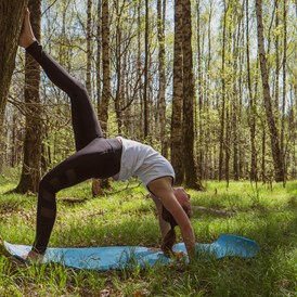 Yoga: Waldyoga