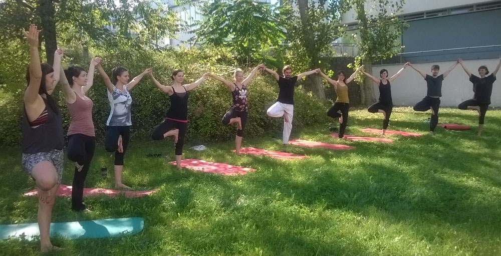 Yoga: HaYAYoga
