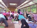 Yoga: https://scontent.xx.fbcdn.net/hphotos-xlt1/t31.0-8/s720x720/11337019_1559051714315446_1505804486108209915_o.jpg - Yoga auf der Alster