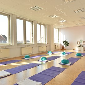 Yoga: Krishna Raum  - Yoga Vidya Hamburg e.V.