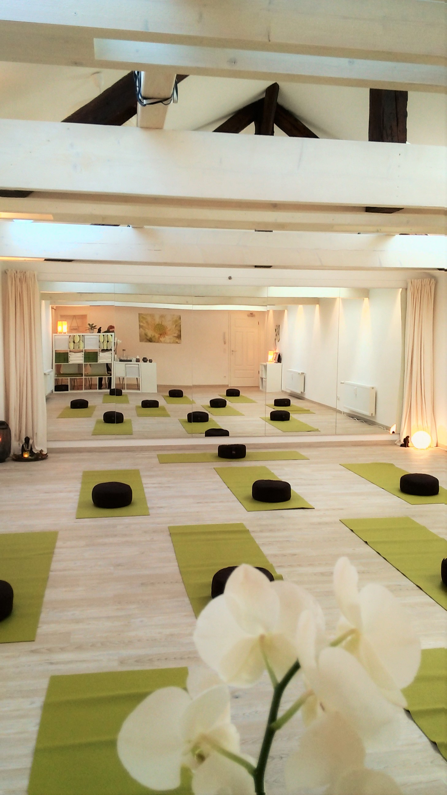 Yogakurs - Hamburg-Stadt (Hamburg, Freie und Hansestadt) - Zum vielseitigen Kursangebot gehören Power Yoga, Flow Yoga, Hatha Yoga, Yin Yoga, Faszien Yoga, Aerial Yoga, Yogatherapie sowie Privatstunden und Workshops! - Spirit & Motion
