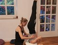 Yoga: Shivas Yoga Lounge