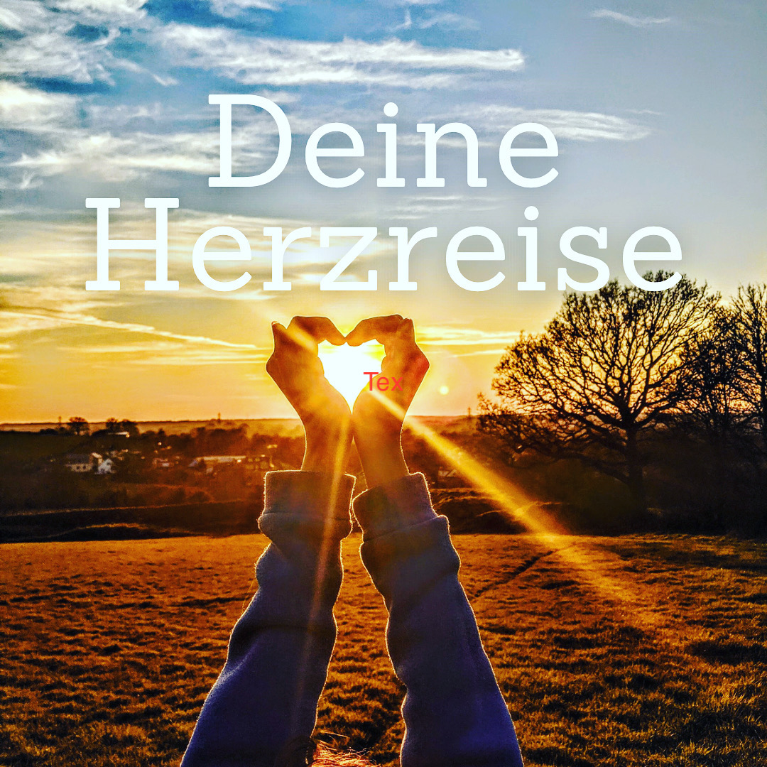 Yogakurs - Hannover Vahrenwald-List - Shivas Yoga Lounge, Hannover