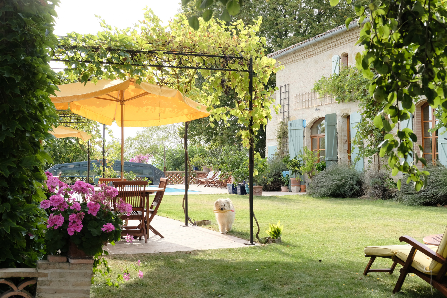 Yogaevent: Garten und Terrasse zwischen Schloss und Ferienhäusern mit den Zimmern - Yoga &  .... in Frankreich