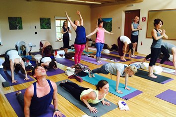 Yogalehrer Ausbildung: be better YOGA Lehrerausbildung, Modul A/20