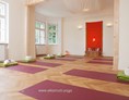Yoga: Ekamati Yogazentrum