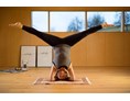 Yoga: Kopfstand Variante (Shirshasana) - aktiviert und fördert die Durchblutung im gesamten Körper - Yoga Garten
