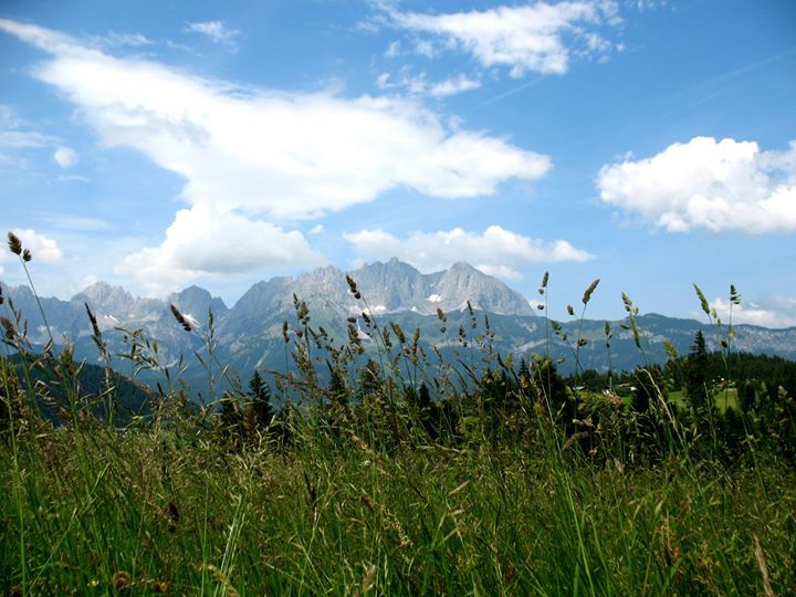 Yogakurs - Bad Schwartau - https://scontent.xx.fbcdn.net/hphotos-xfa1/t31.0-0/p180x540/474942_187759324669596_813214409_o.jpg - Om Yoga