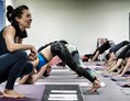 Yoga: Katja Bienzeisler