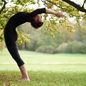 Yogakurs - YogaBee / YogaBee Online