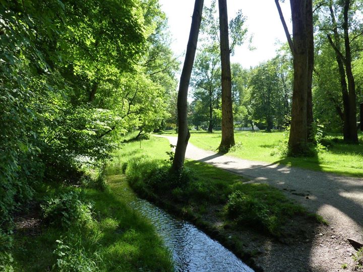 Yoga course - München Haidhausen - https://scontent.xx.fbcdn.net/hphotos-xfa1/t31.0-0/p180x540/11406546_783503385090526_7321843714692379902_o.jpg - Yoga im Herzogpark