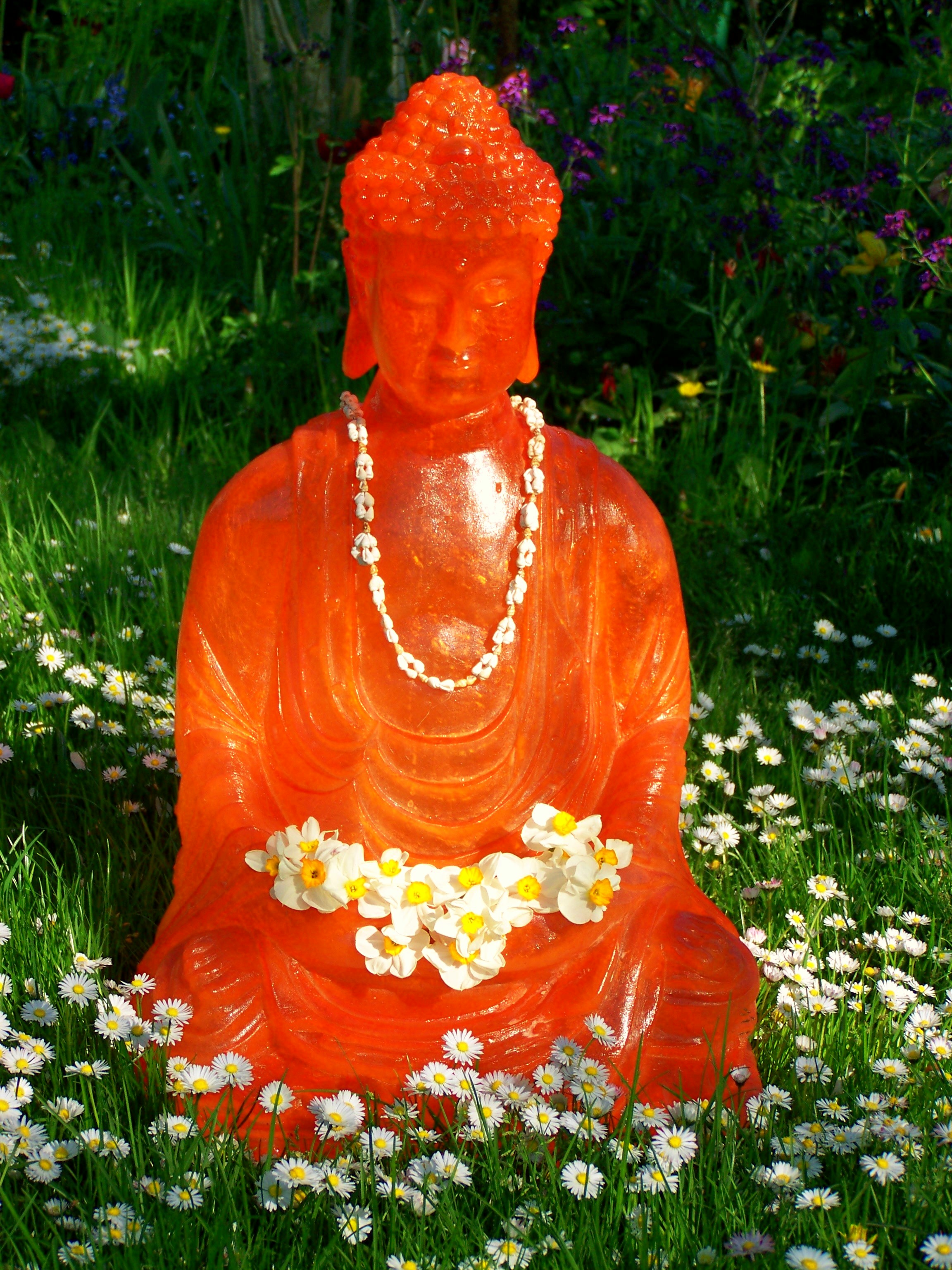 Yoga: MediYogaSchule©  Marion Grimm-Rautenberg