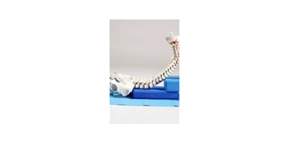 Yogakurs - Ausstattung: Yogabücher - Horn-Bad Meinberg - Anatomie und Physiologie für Yogalehrer