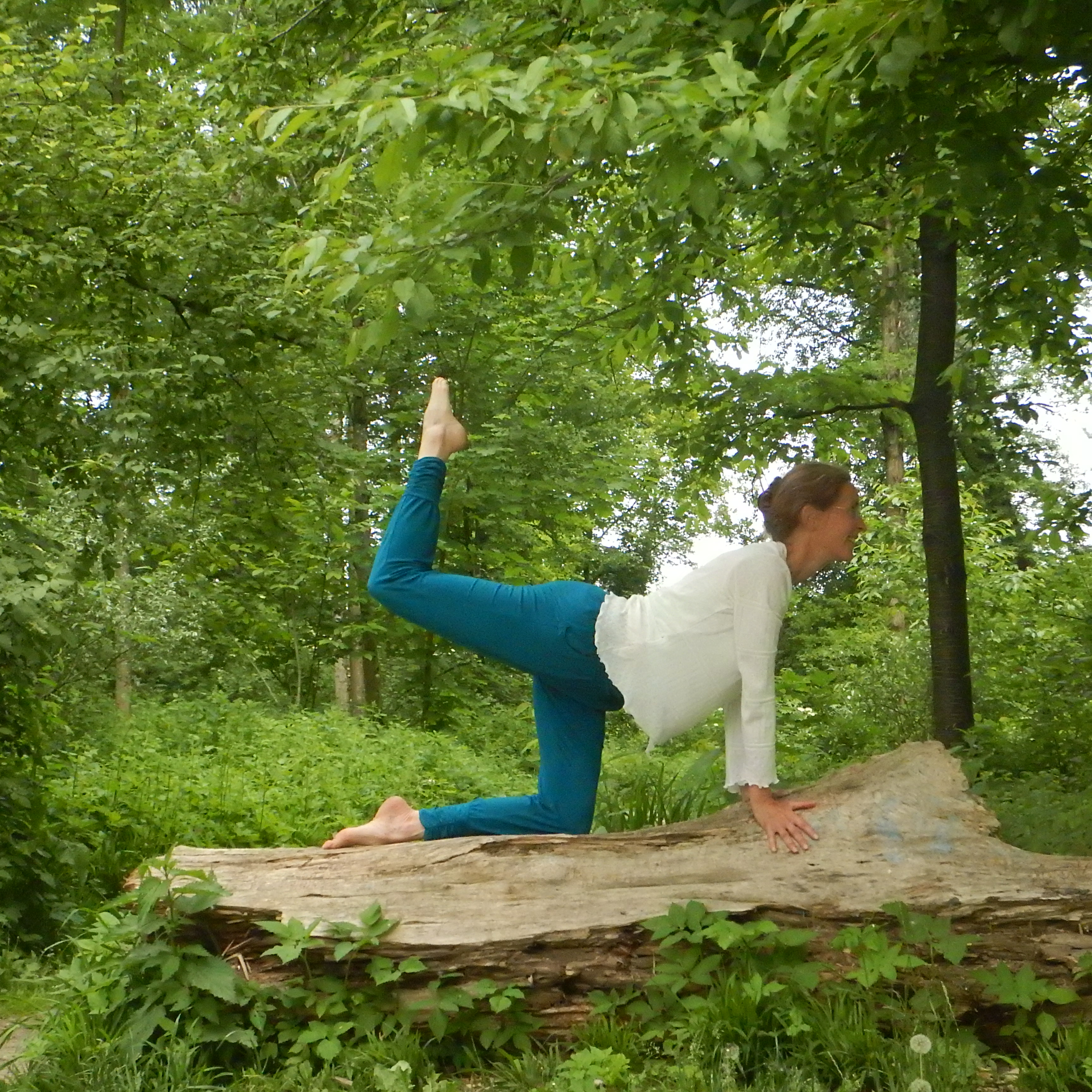 Yogakurs - Kurse für bestimmte Zielgruppen: Kurse nur für Frauen - Salzburg-Stadt (Salzburg) - In der Natur übt es sich am schönsten... - Yoga und Musik - Yoga in Salzburg 