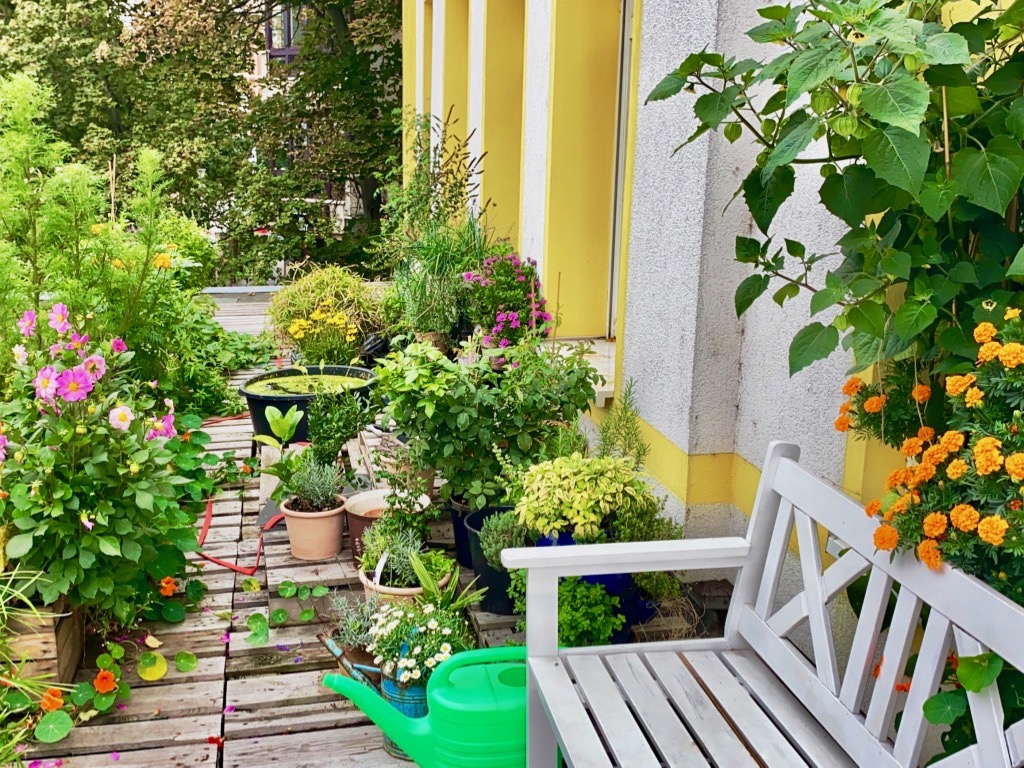 Yoga: Es gibt einen Garten direkt von YOGA MACHT STARK zum Entspannen - YOGA MACHT STARK