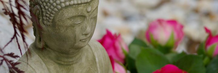 Yoga course - München Haidhausen - https://scontent.xx.fbcdn.net/hphotos-xat1/t31.0-8/s720x720/12183896_402688016592588_7978135852152490657_o.jpg - Ana Hatha Flow Yoga