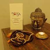 Yogakurs - Sacha Yoga