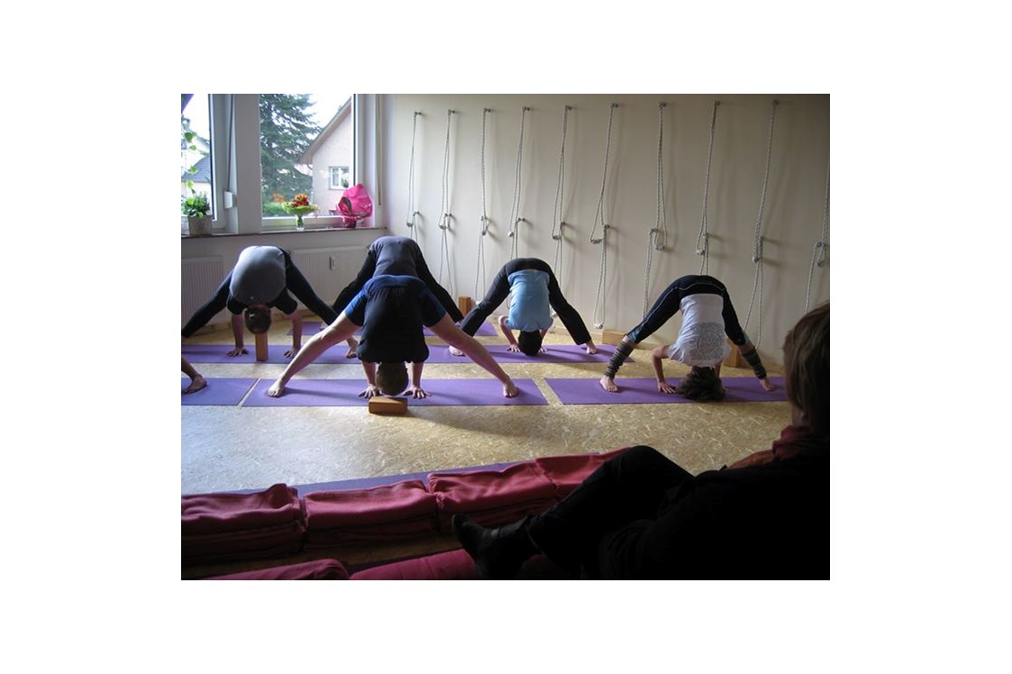 Yoga: https://scontent.xx.fbcdn.net/hphotos-xfp1/t31.0-0/p180x540/665589_490193564347396_1462218765_o.jpg - Iyengar Yoga Paderborn