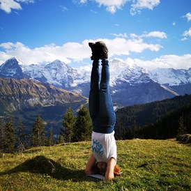 Yoga: die Perspektive wechseln - ALLYOGA-Martha Barthel