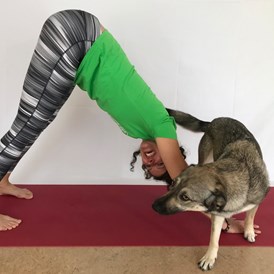 Yoga: YogaZeit Wennigsen