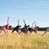 Yogakurs - Yoga in Weimar mit Steffen Katz - Steffen Katz | Yoga in Weimar