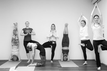 Yoga: Fun Flow Yoga: ganzheitliches, funktionelles Yoga - Claudia Nila Vogt - TheBodyMindSchool