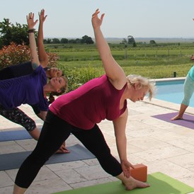 Yoga: Yoga am See - Claudia Nila Vogt - TheBodyMindSchool