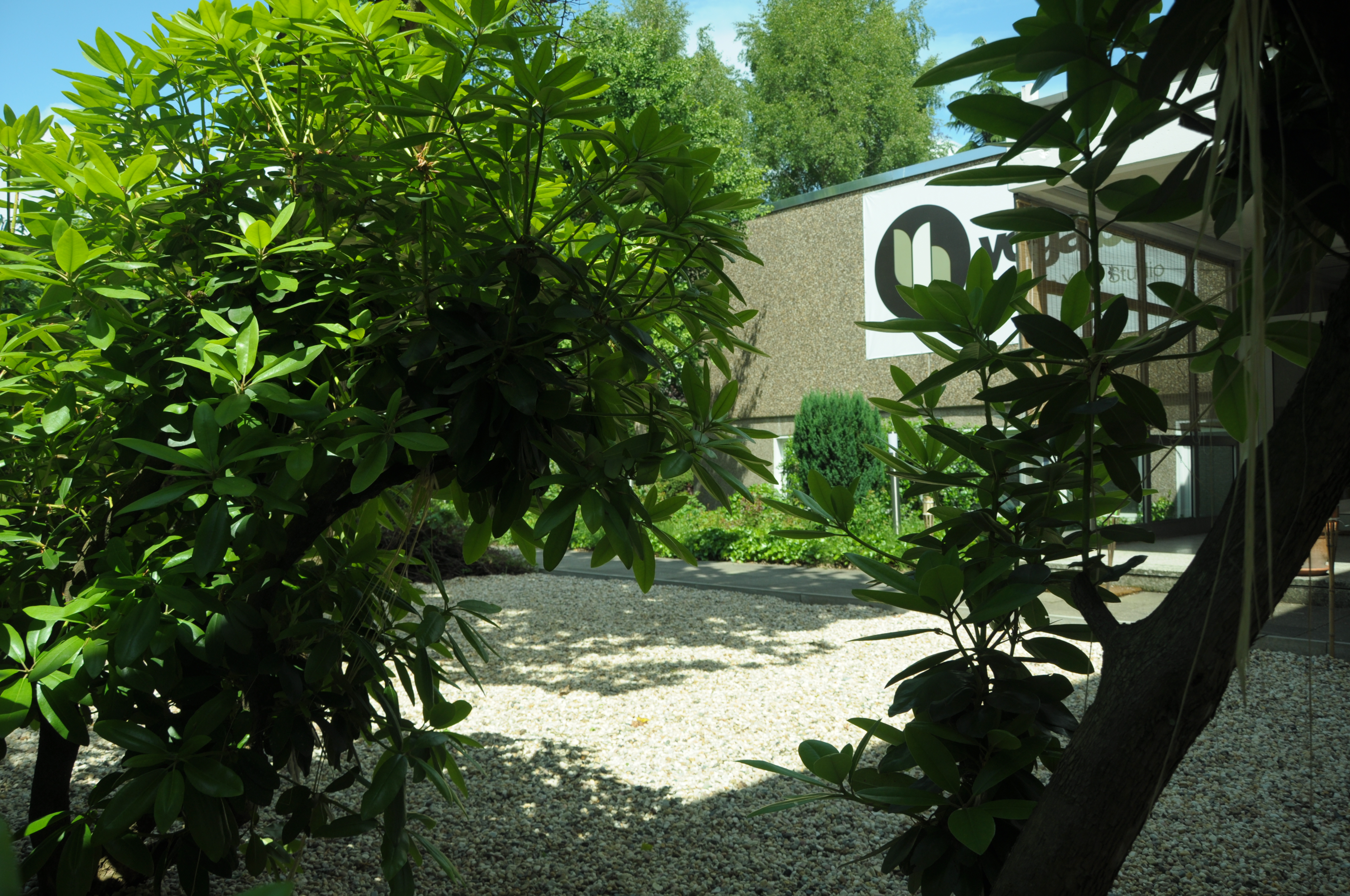 Yoga: Yogabar - Vinyasa Yoga Studio