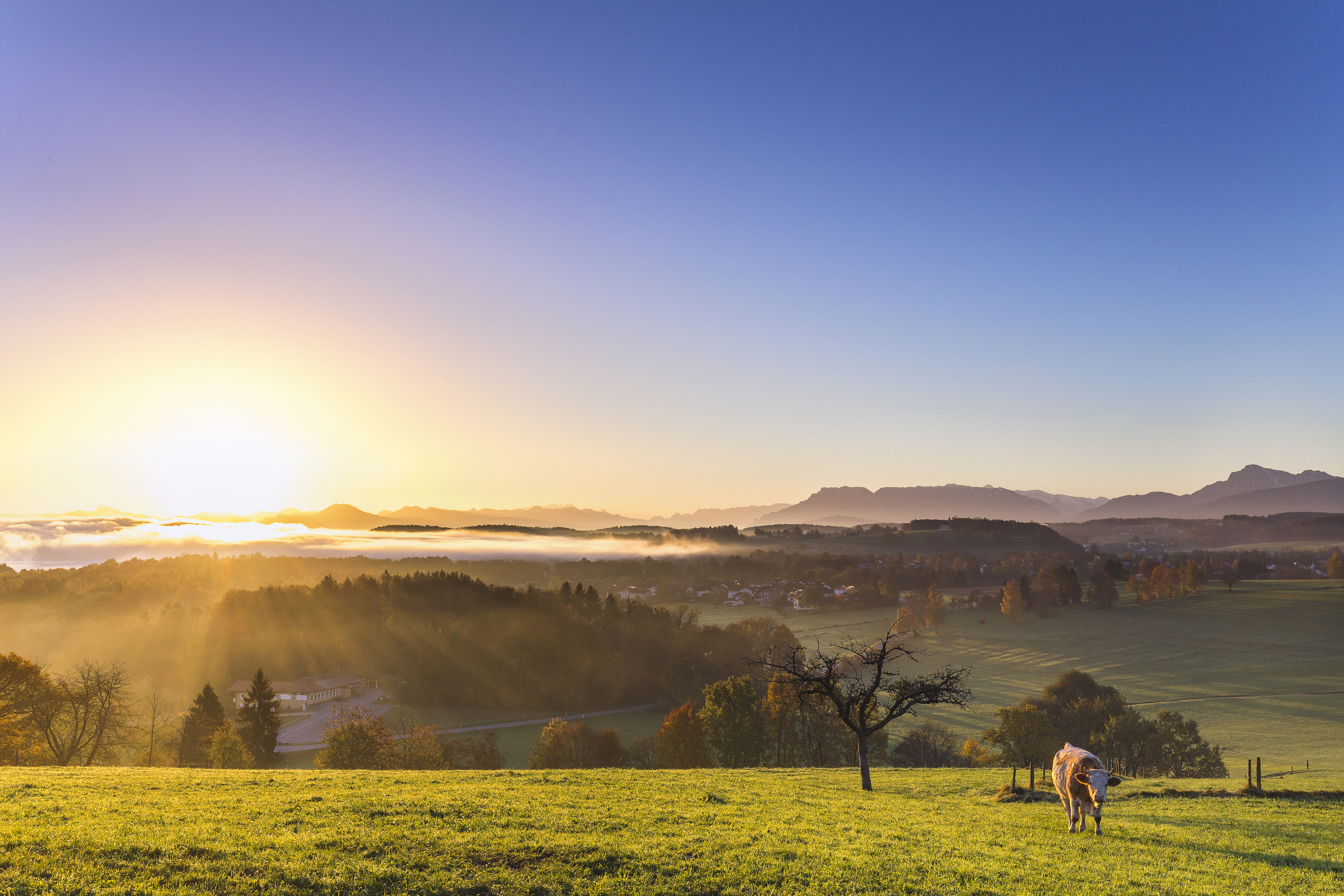 Yoga: Yoga Urlaub und Yoga Retreats im Chiemgau, am Chiemsee, in Tirol, an traumhaften Orten Entspannung und Kraft tanken

Yoga Retreat Kalender auf www.yogamitinka.de/events - Yoga mit Inka