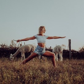 Yoga: Anika Haseloff / Lahari Yoga