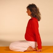 Yogakurs - Hormon Yoga Basisseminar - Yogalehrer Weiterbildung