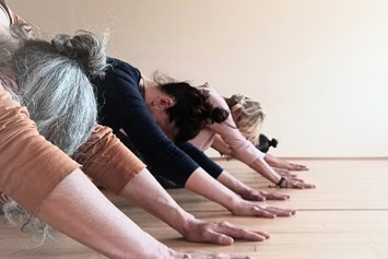 Yoga: Gemeinsam  Yoga praktizieren - Yoga in Wuppertal,  Hatha Yoga Vinyasa, Yin Yoga, Faszien Yoga Ute Sondermann
