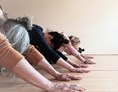 Yoga: Gemeinsam  Yoga praktizieren - Yoga in Wuppertal,  Hatha Yoga Vinyasa, Yin Yoga, Faszien Yoga Ute Sondermann