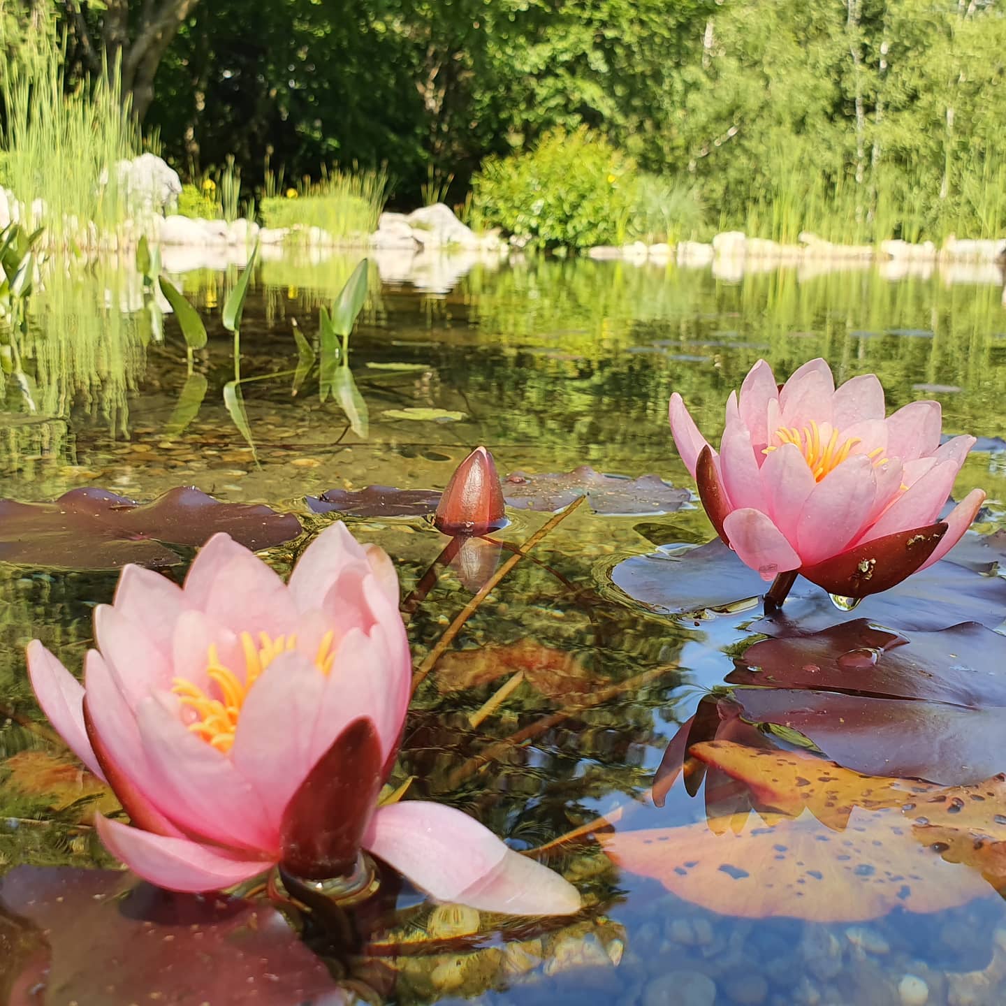 Yogaevent: Yoga & Journaling: MEET YOURSELF!