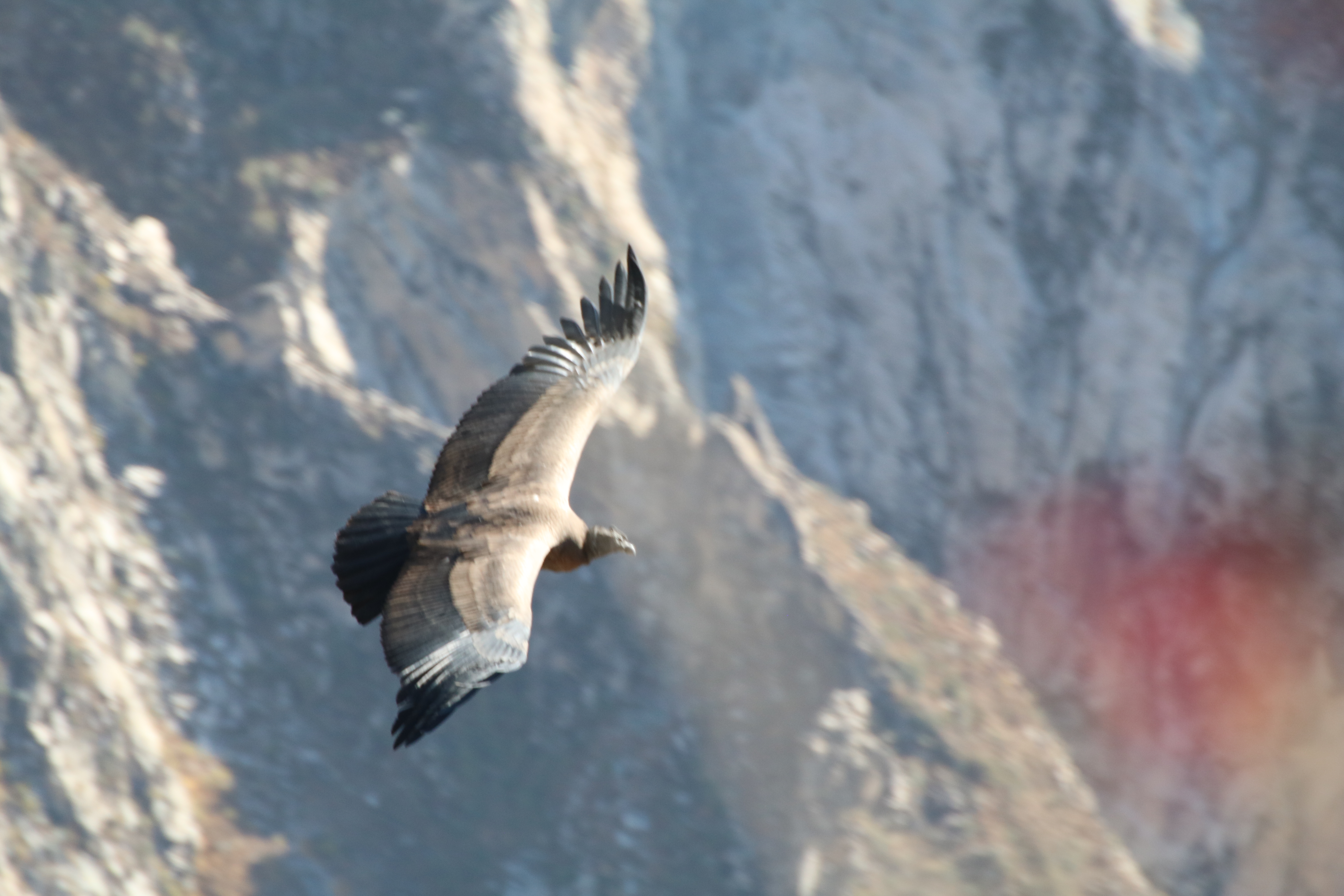 Yoga course - Yogastil: Lachyoga - Germany - Spüre Leichtigkeit...
Gita Henze - up2U - Gita Henze - up2U, Kundalini Yoga (Wunstorf) und mehr für die Gesunderhaltung