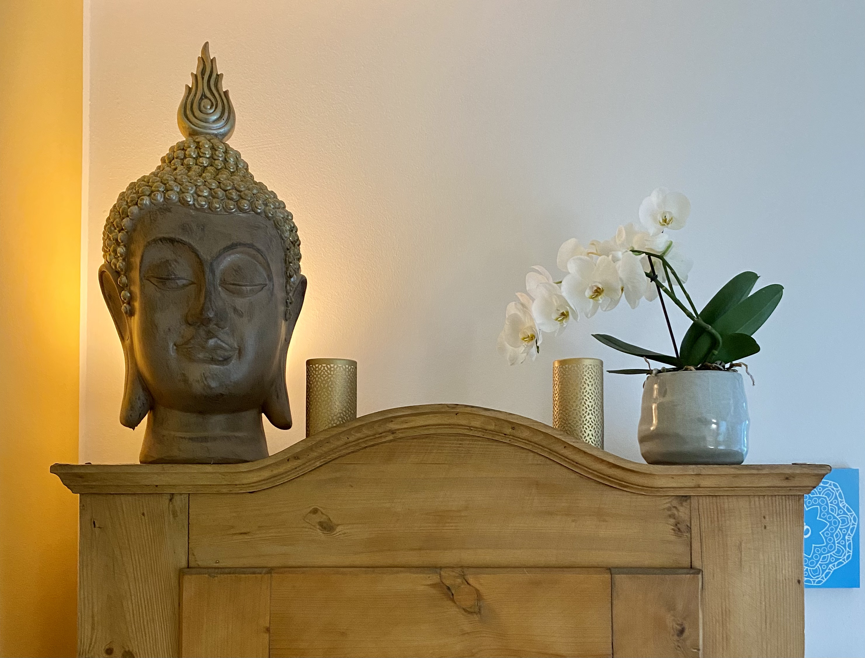 Yoga: YuttaYoga  -  YuttaYoga - Anusara Elements Yoga | Yoga für den Rücken | Beckenboden |Pränatal Yoga | 