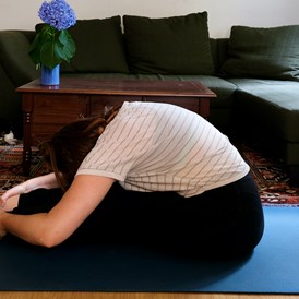 Yoga: Online: Hatha Flow for all bodies
