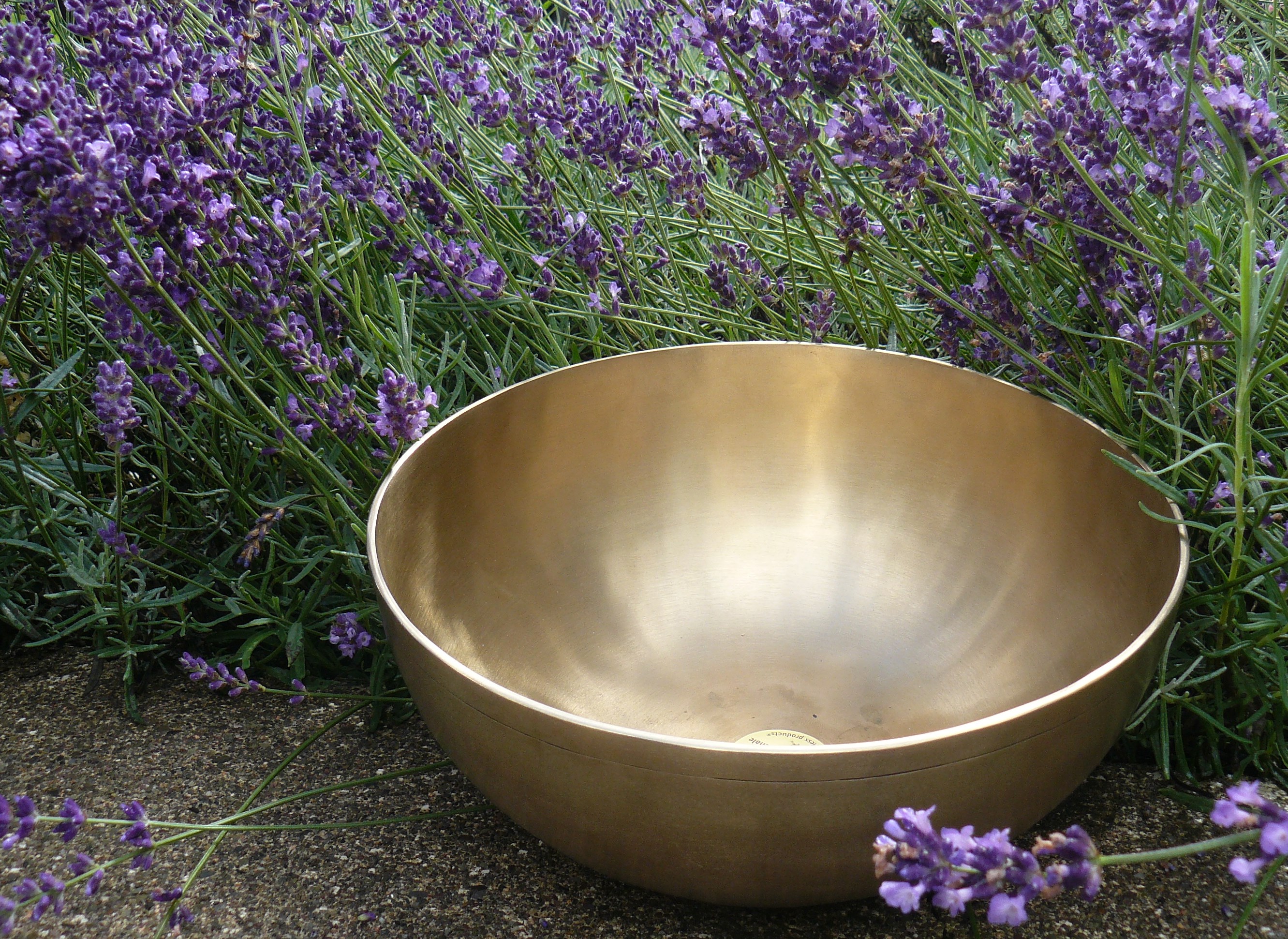 Yogakurs - Yogastil: Aerial Yoga - Niedersachsen - Aerial YOGA im Harz