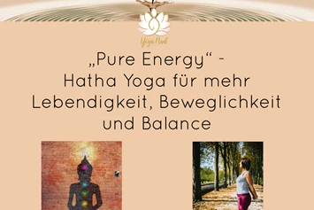 Yoga: Hatha Yoga „Pure Energy“